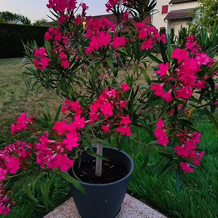 Maison Avec Charme Holiday home Champagne-sur-Seine